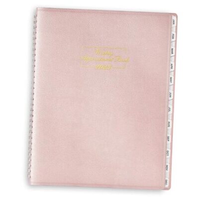 Daily Planner 2025 - Weekly Appointment Book Planner 2025, 8.5×11