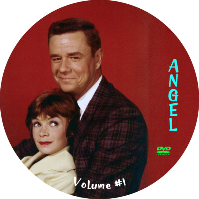 Angel  1960 TV classic Comedy RARE 8-DVD set Annie Fargue Marshall Thompson-image