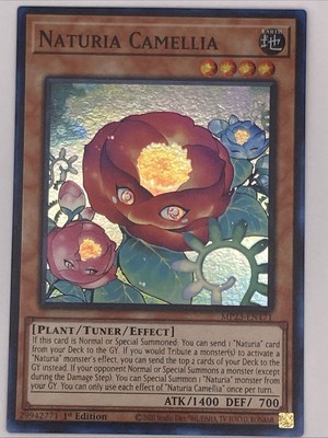 Naturia Camellia MP23-EN171 25th Anniversary Tin: Dueling Heroes Mega Pack...-image