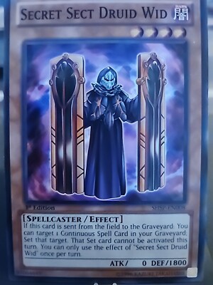 Secret Sect Druid Wid - 1st Edition - Yugioh Dark Monster - Vintage-image