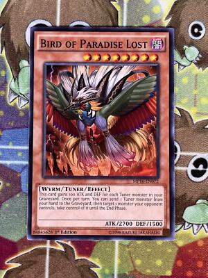 Yugioh Bird Of Paradise Lost MP16-EN072 Single -image