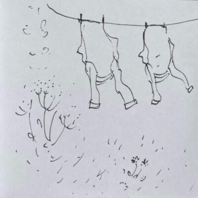 Annie A - The Wind That Had Not Touched Land (LP)-image
