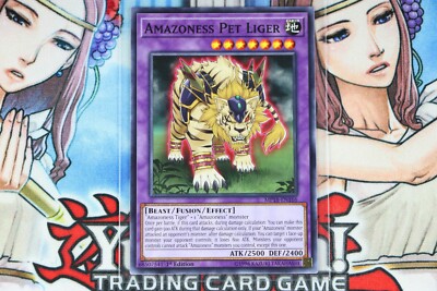 Yugioh Amazoness Pet Liger MP18-EN166 1st Ed Common-image
