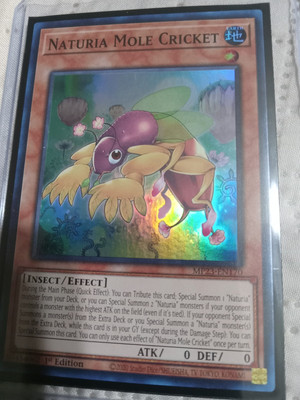 Naturia Mole Cricket MP23-EN170 25th Anniversary Tin: Dueling Heroes Mega Pack-image