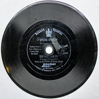 1910 Fruitgum Co. - Special Delivery / No Good Annie 33 1/3 Flexi Disc Rare-image