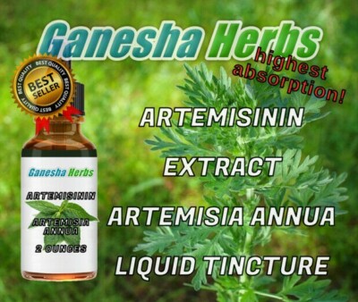  ARTEMISININ - Artemisia Annua  - Sweet Wormwood  Liquid Tincture 2 ounces -image