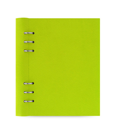 Filofax A5 Size Clipbook Leather-Look Refillable Notebook Diary Pear 023616Green-image