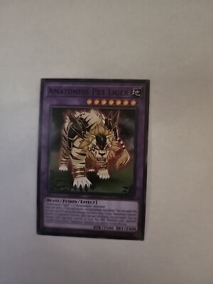 Yugioh! Amazoness Pet Liger - MP18-EN166 - Common - 1st Edition Near Mint, Engli-image