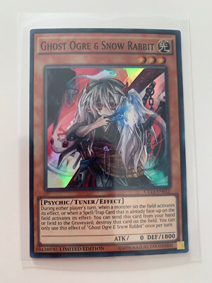 Yu-Gi-Oh Ghost Ogre & Snow Rabbit, Super Rare, Mint, CT13-EN012-image