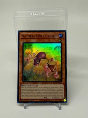 Naturia Mole Cricket MP23-EN170 25th Anniversary Tin: Dueling Heroes Mega...-image