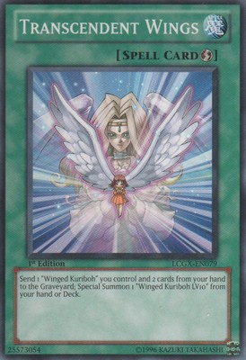Transcendent Wings - LCGX-EN079 - Common - Unlimited Edition - Lightly Played-image