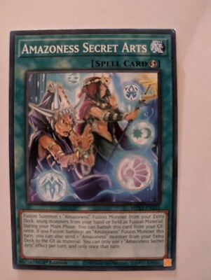 Yu-Gi-Oh! TCG Amazoness Secret Arts 25th Anniversary Tin: Dueling Heroes Mega...-image