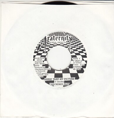 CHECKERED PAST - ANNIE TAKE MY PICTURE - ORIGINAL FRATERNITY 45 - GREAT SHAPE-image