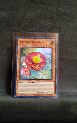 Naturia Camellia MP23-EN171 25th Anniversary Tin: Dueling Heroes Mega Pack...-image