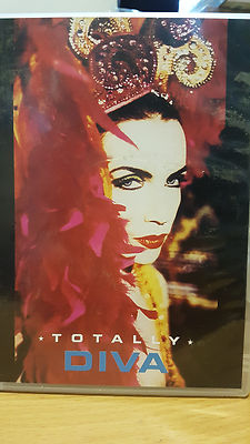 Annie Lennox - Diva (DVD, 2002) Brand New NOT SEALED-image