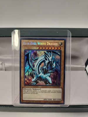 Blue-Eyes White Dragon CT14-EN002 2017 Mega-Tins Limited Edition-image