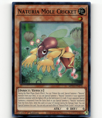 Yugioh Naturia Mole Cricket 25th Anniv. Tin: Dueling Heroes Mega Pack-image