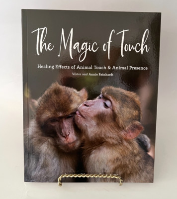 The Magic of Touch Healing Effects of Animal Touch and Presence Annie Reinhardt-image