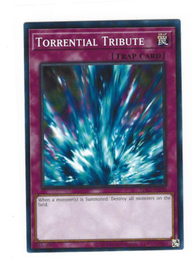 #LDK2-ENJ38 Torrential Tribute A5-image