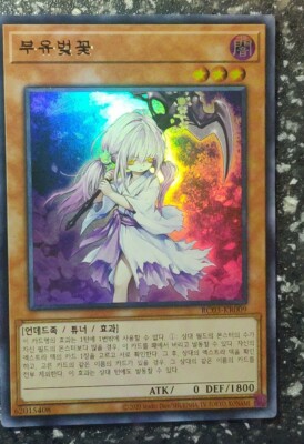 YuGiOh! Card - 