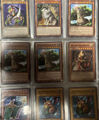 YU-GI-OH CARDS (BEAST, INSECT, BEAST WARRIOR, WYRM, THUNDER MONSTERS)-YOU PICK-image