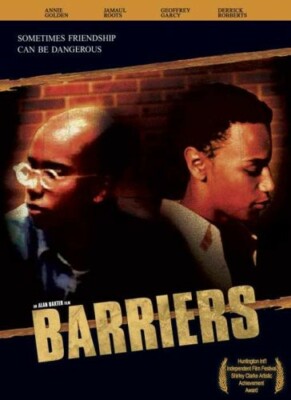 Barriers (DVD, 1998) Annie Golden Jamaul Roots ~Very Good-image