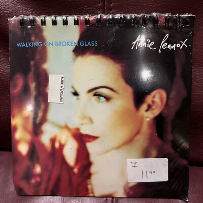 Annie Lennox - Walking on Broken Glass (Rare Maxi Single CD in Spiral Notebook)-image