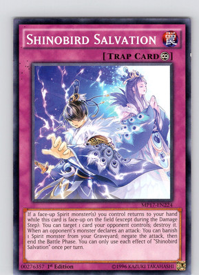 Yu-Gi-Oh TCG Shinobird Salvation MP17-EN224 1st Edition Common Card NM-image
