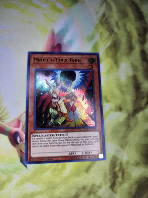 Droll & Lock Bird LCKC-EN077 Legendary Collection Kaiba 1st Edition-image