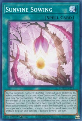1x Sunvine Sowing - 1st Edition NM Eng YuGiOh - 2022 Mega Tin - Pharoah's Gods-image