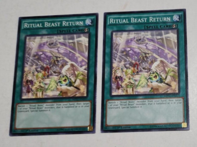 Yu-Gi-Oh! Yugioh Ritual Beast Return MP17-EN217 1st Edition Common LP x2-image