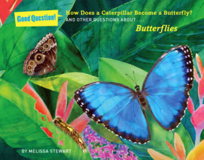 How Does a Caterpillar Become a Butterfly?: And Other Questions about But - GOOD-image