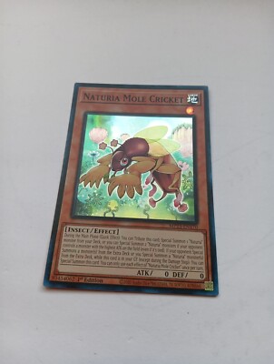 Naturia Mole Cricket MP23-EN170 25th Anniversary Tin: Dueling Heroes Mega...-image