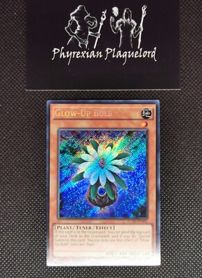 Yu-Gi-Oh! Legendary Collection 5Ds Mega-Pack 1st Edition SR Glow-Up Bulb LP/Exc-image